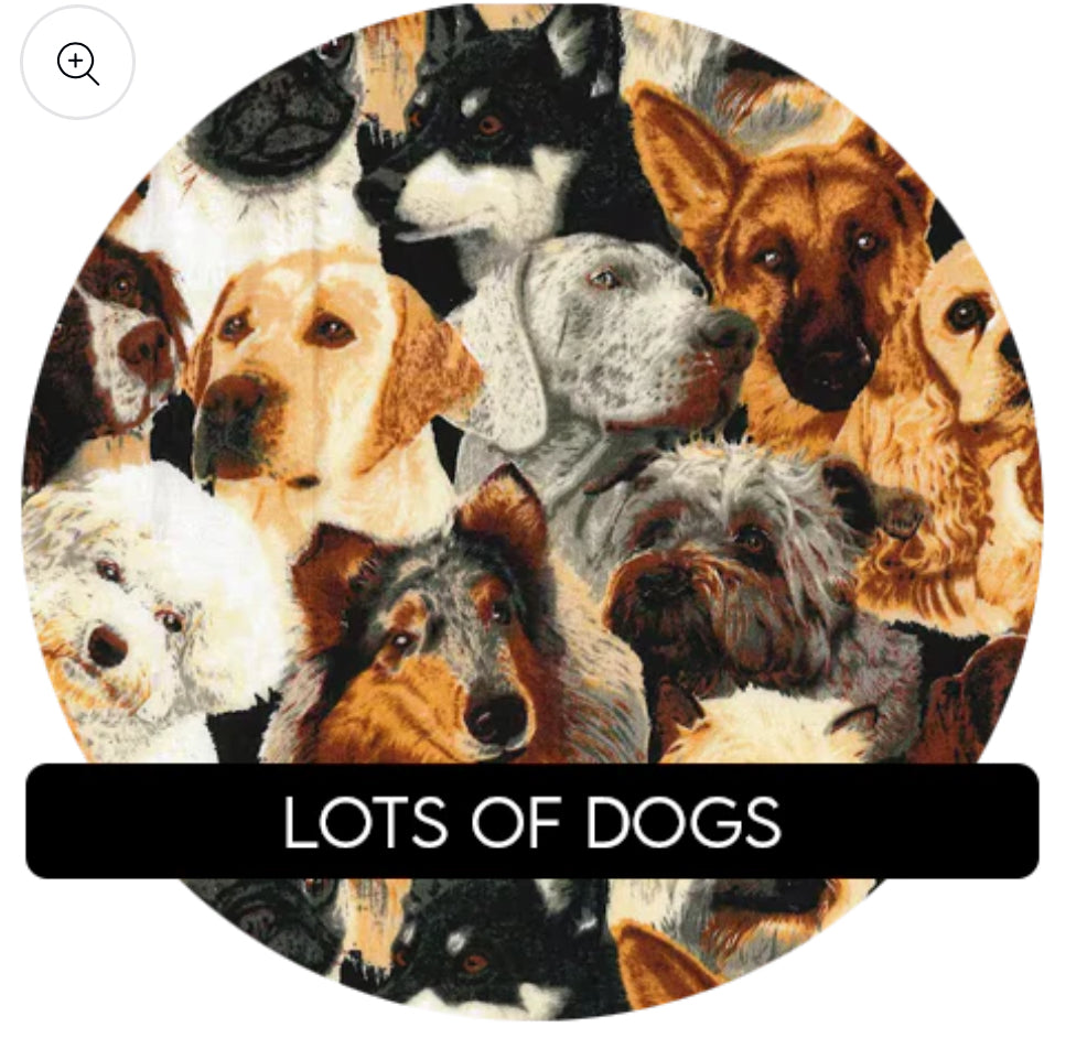 SET OF 3 EYEGLASS CASES