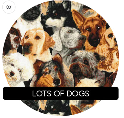 SET OF 3 EYEGLASS CASES